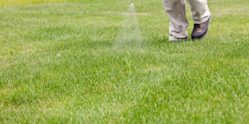 Weed Control and Fertilizing Program in Rosemount, MN
